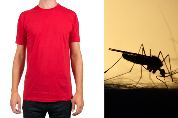 Làm gì để không bị muỗi đốt? Khuyến cáo sức khỏe từ chuyên gia